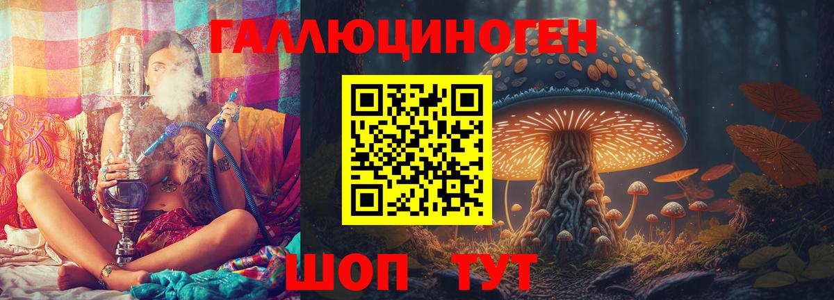Зеленогорск  Псилоцибиновые грибы Cubensis  где продают   Вход с VPN 