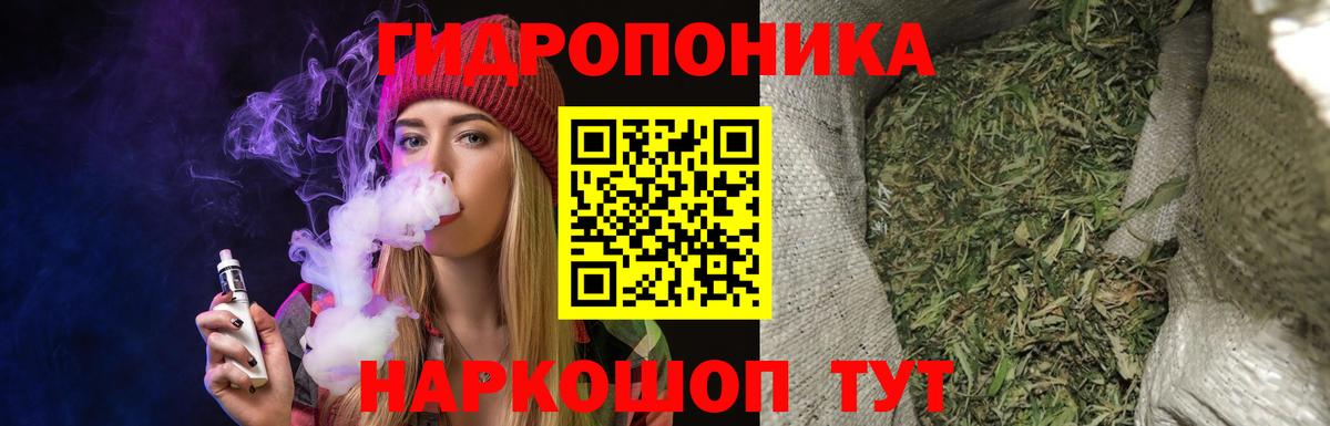 Марихуана Amnesia  Вход с VPN  Зеленогорск  Марихуана марихуана  Марихуана Bruce Banner 